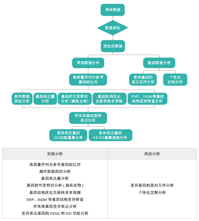 转录组测序-生信分析流程（有参）-k8凯发基因