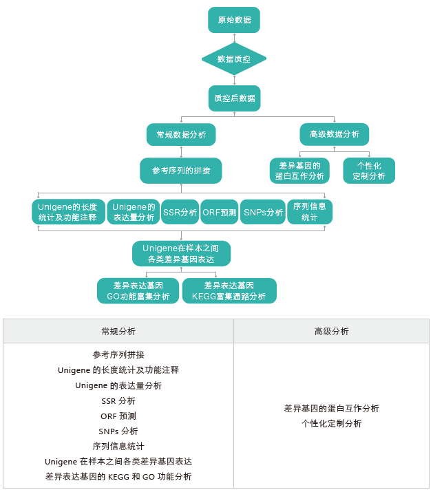 转录组测序-生信分析流程（无参）-k8凯发基因