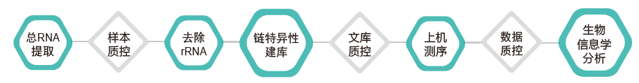 长链非编码RNA（lncRNA）测序-技术路线-k8凯发基因