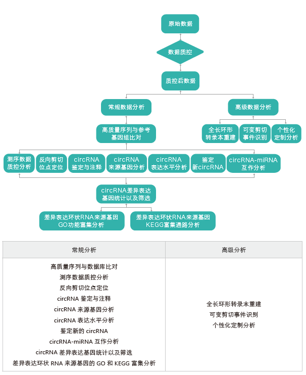 环状RNA（circRNA）测序-生信分析流程-k8凯发基因